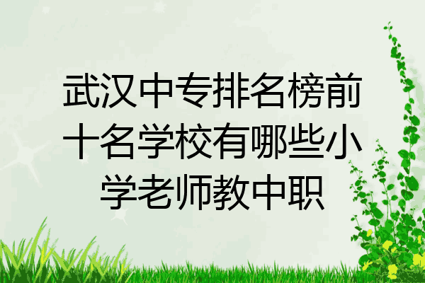 武汉中专排名榜前十名学校有哪些小学老师教中职