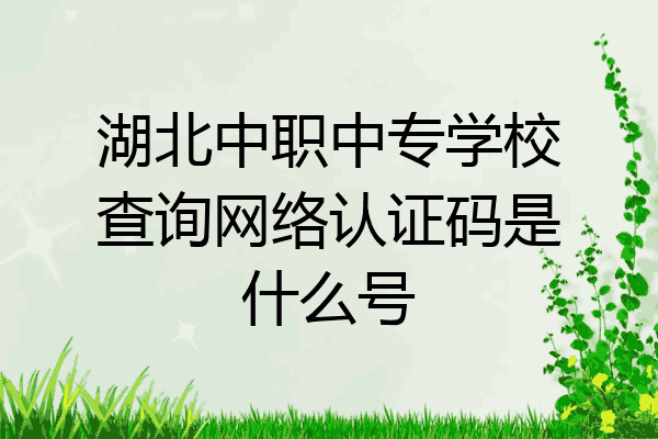 湖北中职中专学校查询网络认证码是什么号