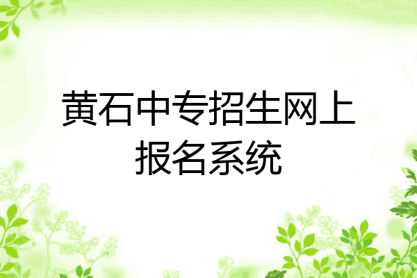 黄石中专招生网上报名系统