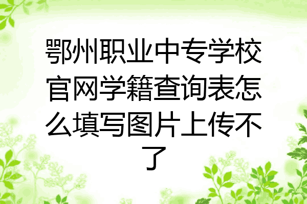 鄂州职业中专学校官网学籍查询表怎么填写图片上传不了