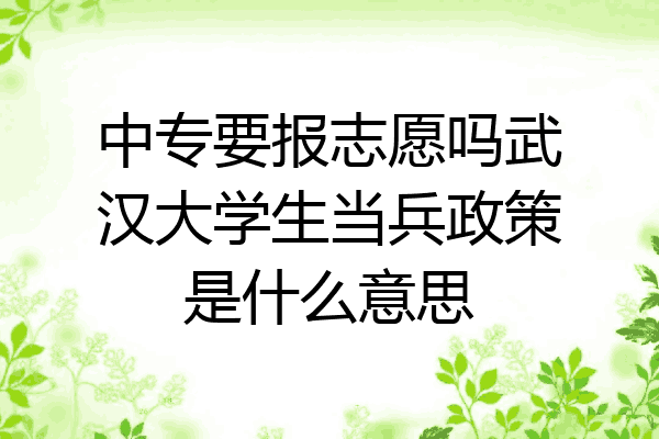 中专要报志愿吗武汉大学生当兵政策是什么意思