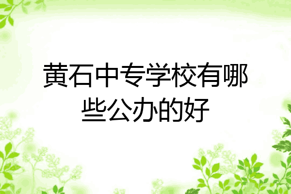 黄石中专学校有哪些公办的好