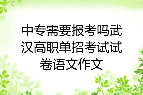 中专需要报考吗武汉高职单招考试试卷语文作文