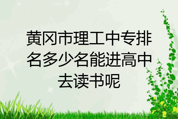黄冈市理工中专排名多少名能进高中去读书呢
