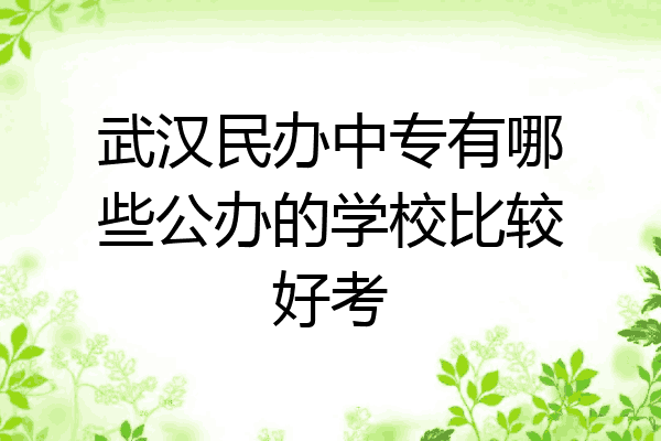 武汉民办中专有哪些公办的学校比较好考