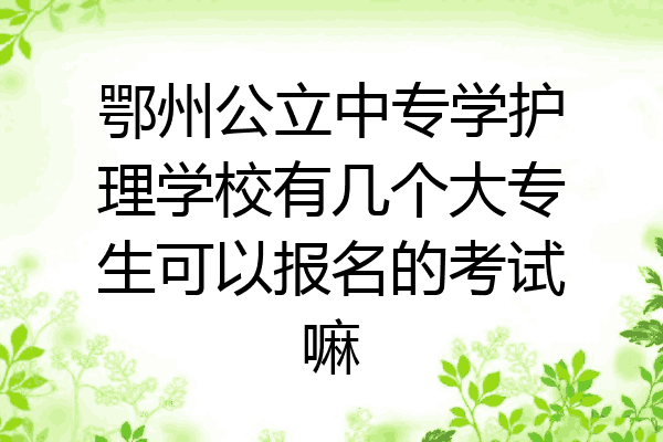 鄂州公立中专学护理学校有几个大专生可以报名的考试嘛