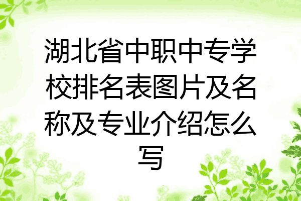 湖北省中职中专学校排名表图片及名称及专业介绍怎么写