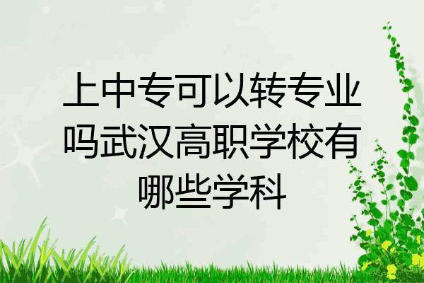上中专可以转专业吗武汉高职学校有哪些学科