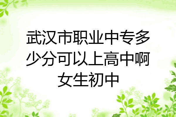 武汉市职业中专多少分可以上高中啊女生初中