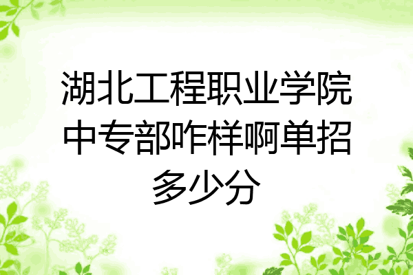 湖北工程职业学院中专部咋样啊单招多少分