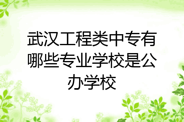 武汉工程类中专有哪些专业学校是公办学校