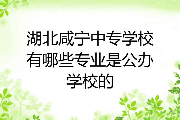 湖北咸宁中专学校有哪些专业是公办学校的