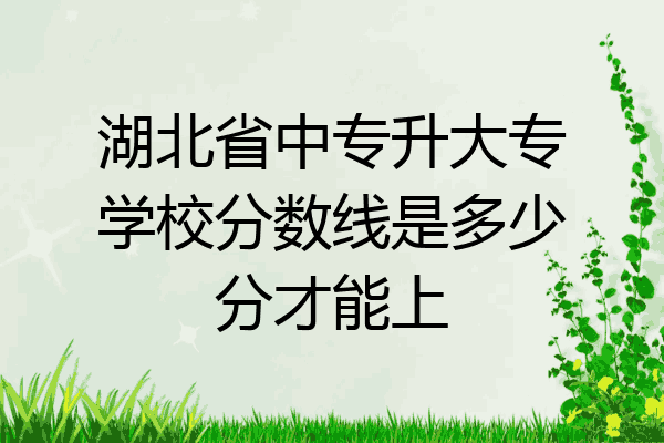 湖北省中专升大专学校分数线是多少分才能上