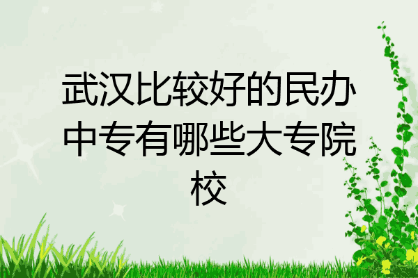 武汉比较好的民办中专有哪些大专院校