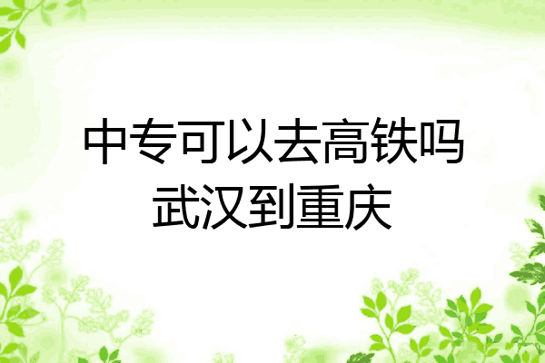 中专可以去高铁吗武汉到重庆