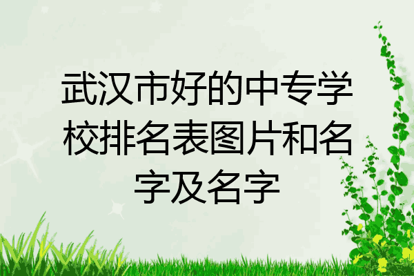 武汉市好的中专学校排名表图片和名字及名字