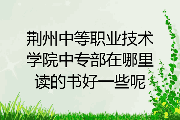 荆州中等职业技术学院中专部在哪里读的书好一些呢