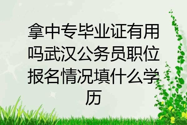 拿中专毕业证有用吗武汉公务员职位报名情况填什么学历