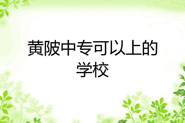 黄陂中专可以上的学校