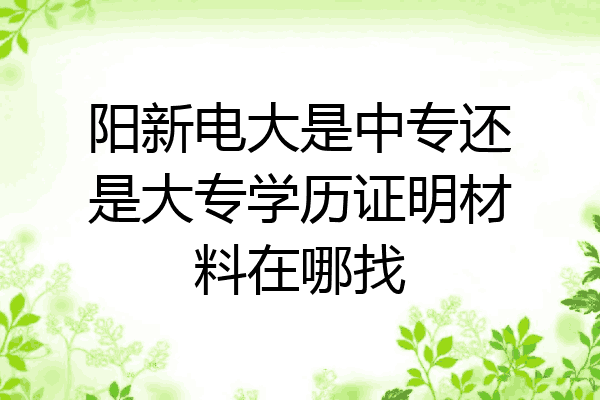 阳新电大是中专还是大专学历证明材料在哪找