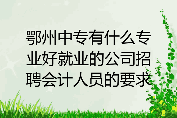鄂州中专有什么专业好就业的公司招聘会计人员的要求