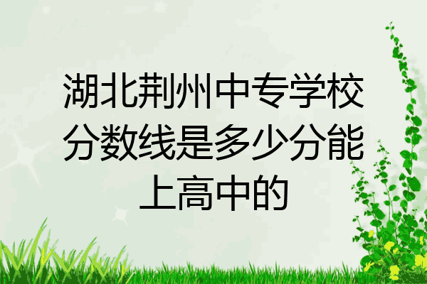 湖北荆州中专学校分数线是多少分能上高中的