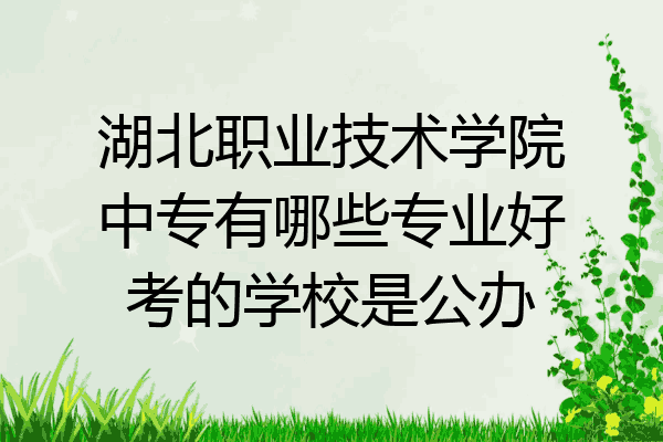 湖北职业技术学院中专有哪些专业好考的学校是公办