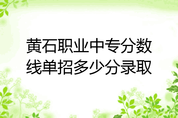 黄石职业中专分数线单招多少分录取