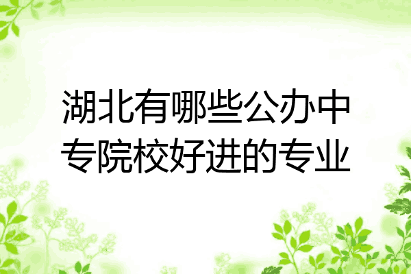 湖北有哪些公办中专院校好进的专业