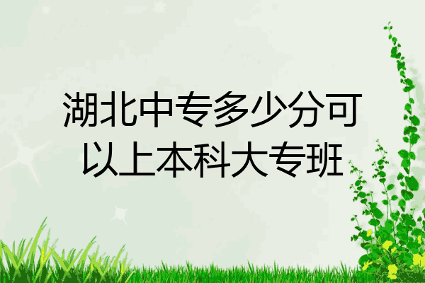 湖北中专多少分可以上本科大专班