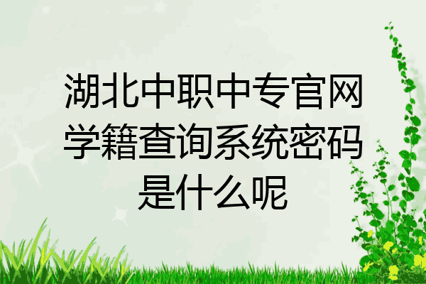 湖北中职中专官网学籍查询系统密码是什么呢
