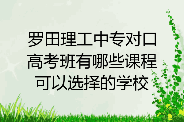 罗田理工中专对口高考班有哪些课程可以选择的学校