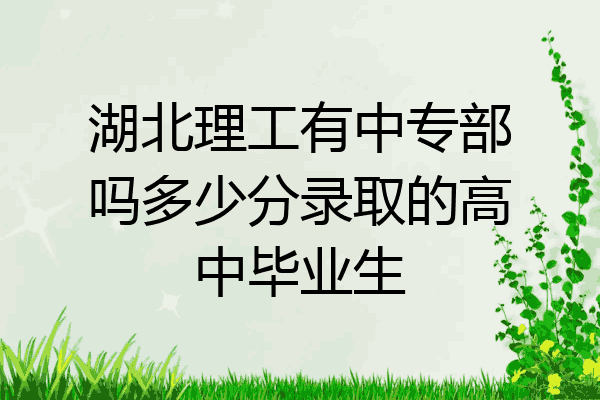 湖北理工有中专部吗多少分录取的高中毕业生