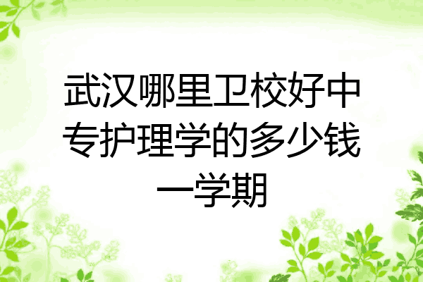 武汉哪里卫校好中专护理学的多少钱一学期