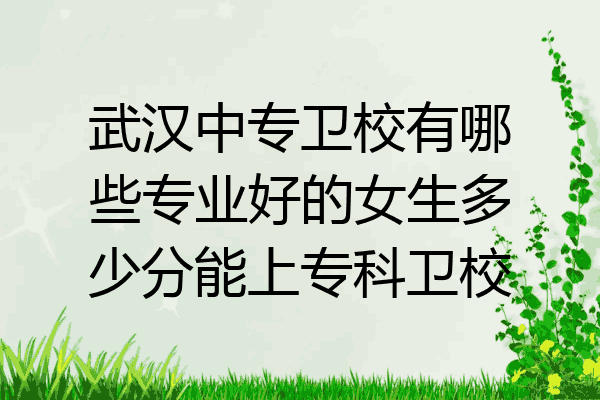 武汉中专卫校有哪些专业好的女生多少分能上专科卫校