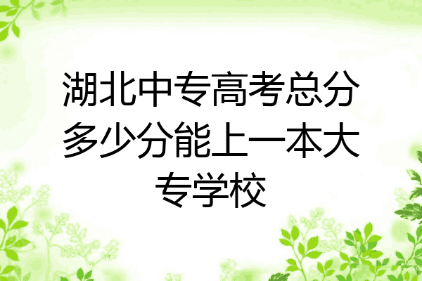 湖北中专高考总分多少分能上一本大专学校