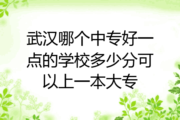 武汉哪个中专好一点的学校多少分可以上一本大专