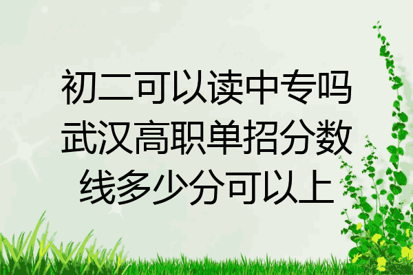 初二可以读中专吗武汉高职单招分数线多少分可以上