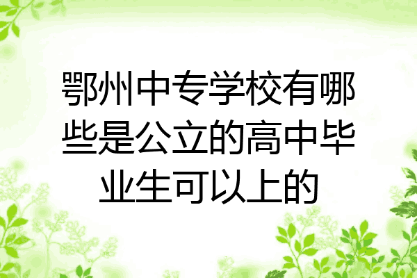 鄂州中专学校有哪些是公立的高中毕业生可以上的