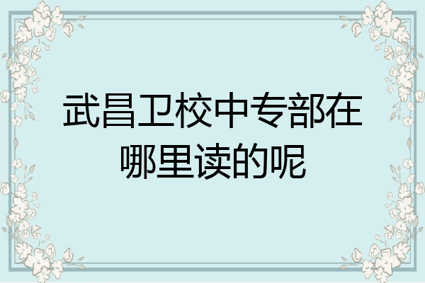 武昌卫校中专部在哪里读的呢