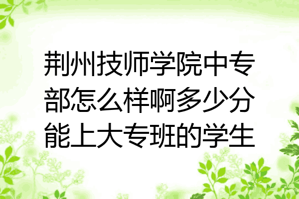 荆州技师学院中专部怎么样啊多少分能上大专班的学生