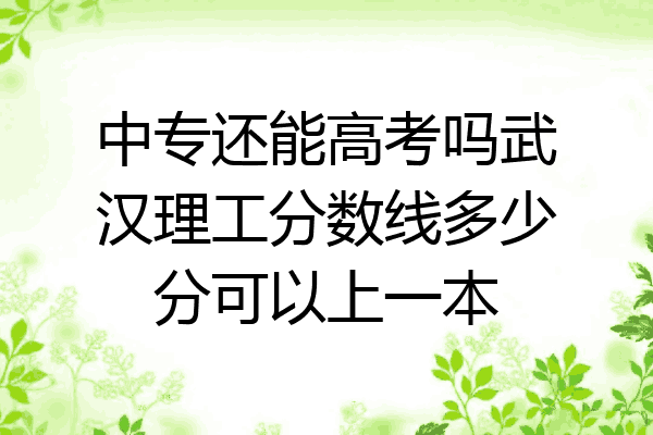 中专还能高考吗武汉理工分数线多少分可以上一本