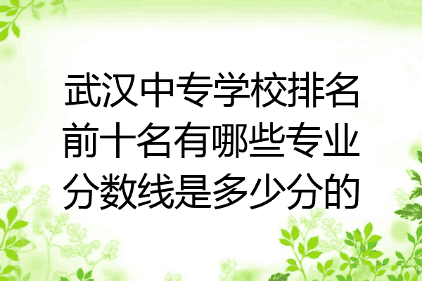 武汉中专学校排名前十名有哪些专业分数线是多少分的