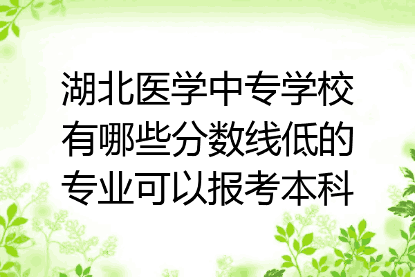 湖北医学中专学校有哪些分数线低的专业可以报考本科