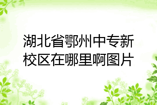 湖北省鄂州中专新校区在哪里啊图片