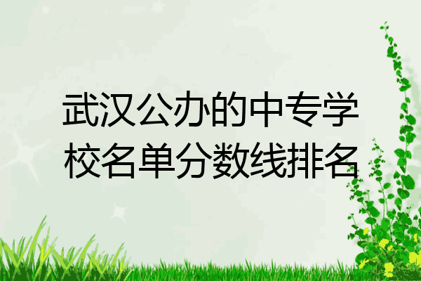 武汉公办的中专学校名单分数线排名