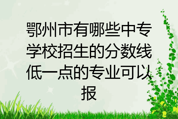 鄂州市有哪些中专学校招生的分数线低一点的专业可以报