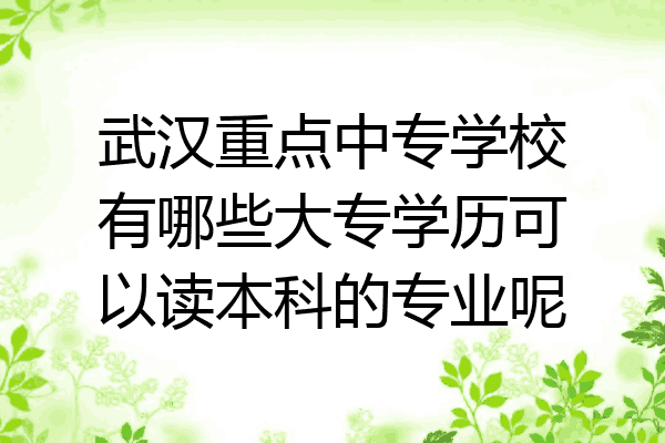 武汉重点中专学校有哪些大专学历可以读本科的专业呢