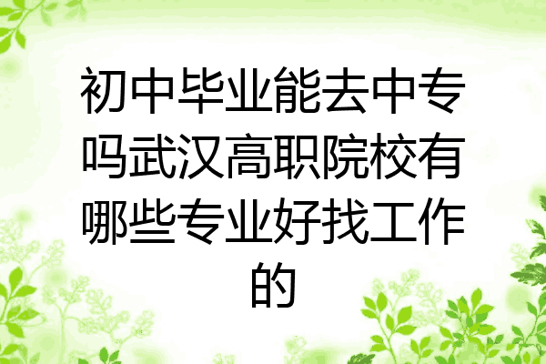 初中毕业能去中专吗武汉高职院校有哪些专业好找工作的