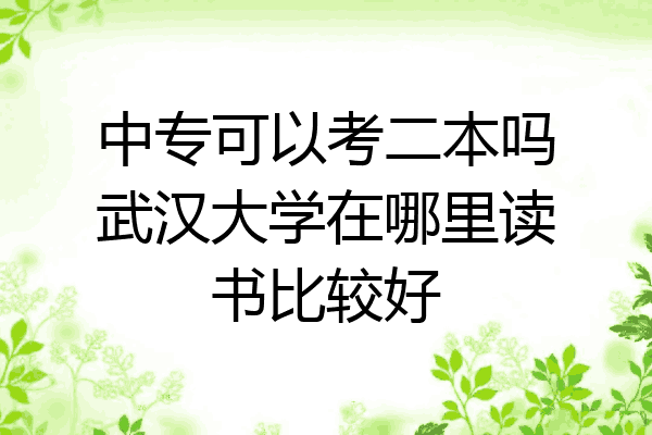 中专可以考二本吗武汉大学在哪里读书比较好